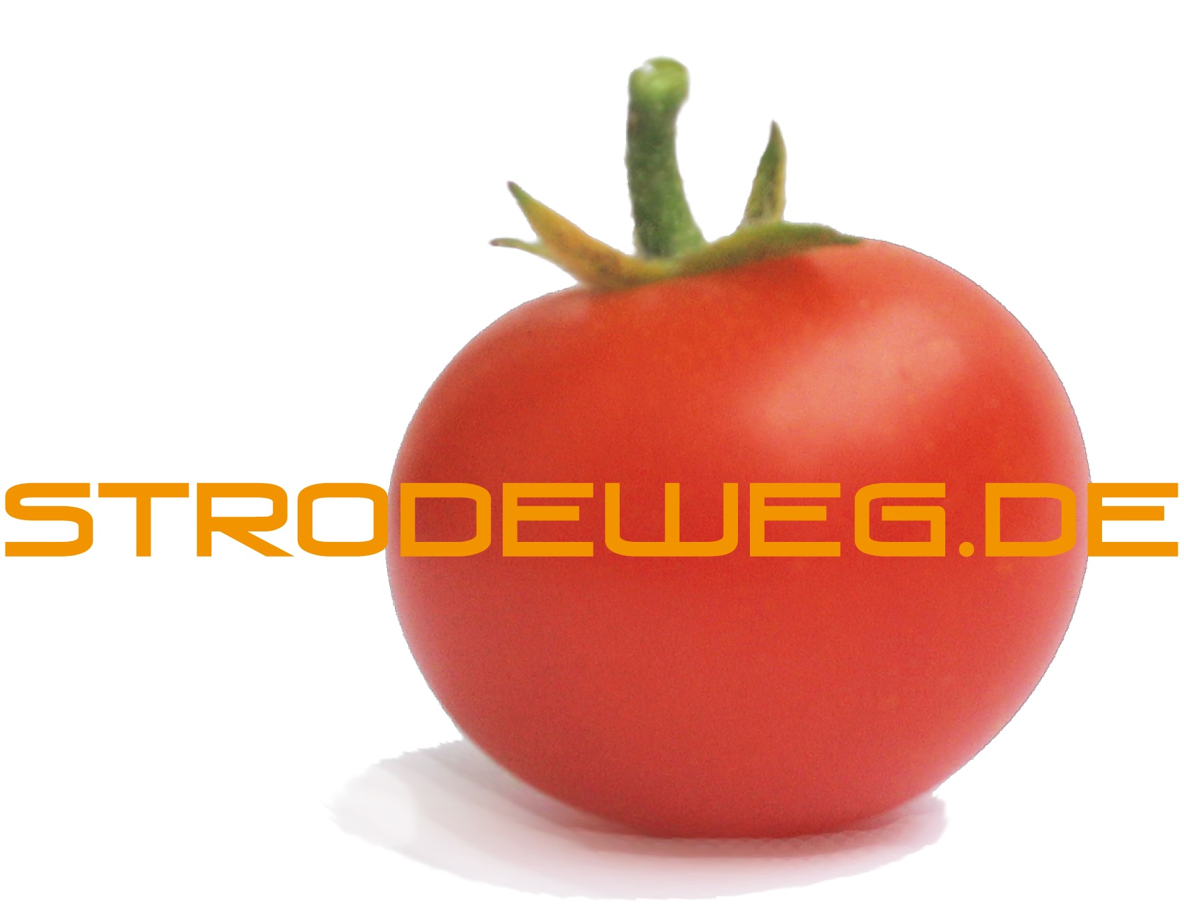 Strodeweg Media